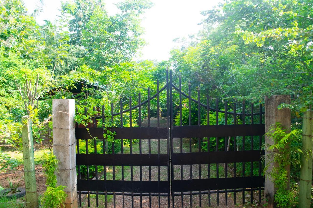 Forest Villa Nature Resort Anuradhapura Exterior foto