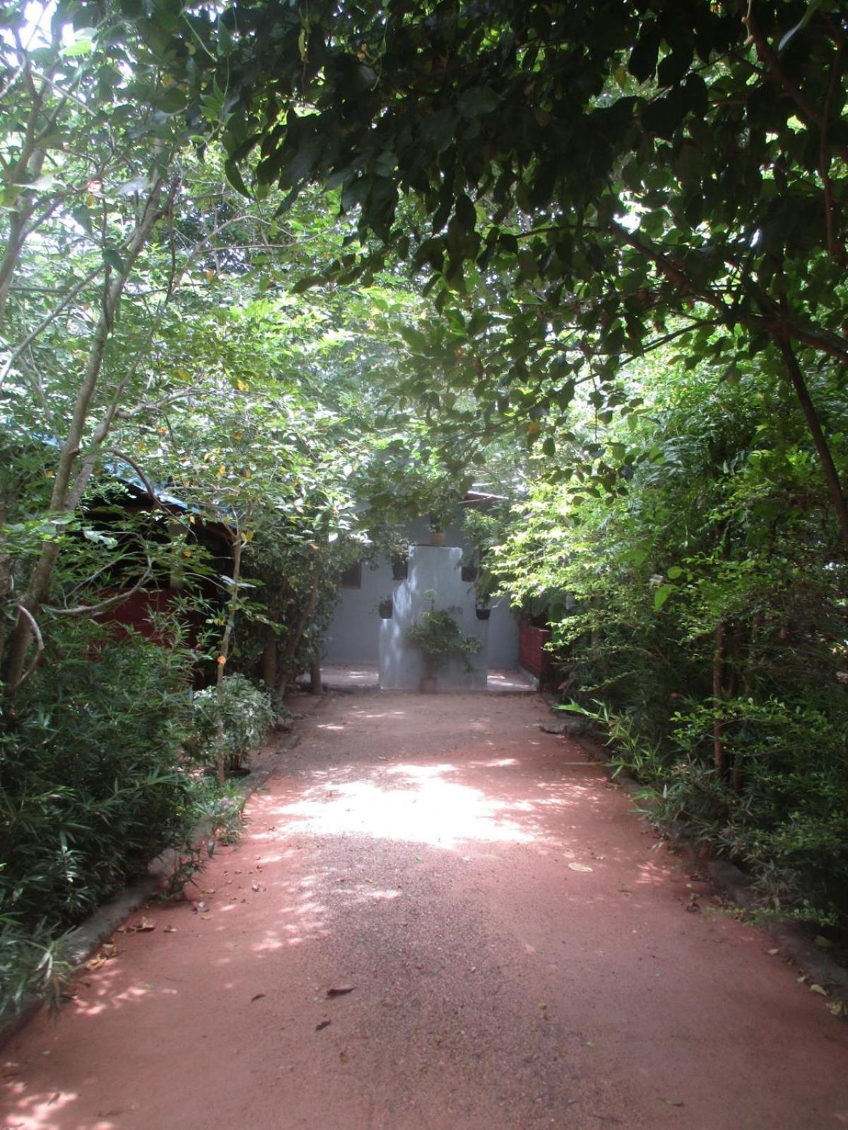 Forest Villa Nature Resort Anuradhapura Exterior foto